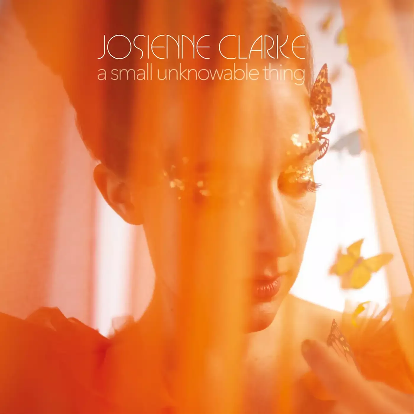 Hoes Josienne Clarke - a small unknowable thing