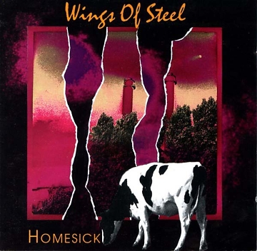 hoes Wings of Steel - Homesick